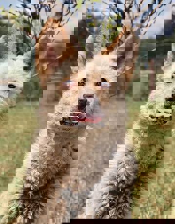 Max_1.jpg (4)