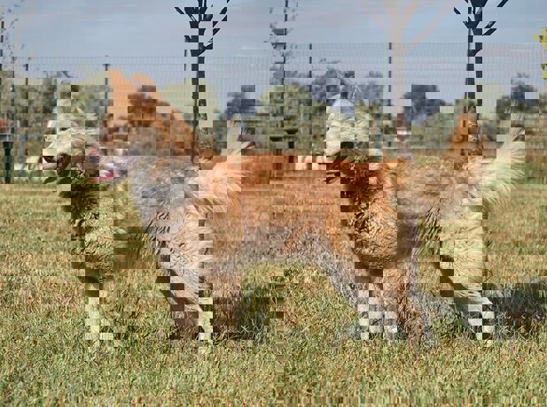 Alvin_4.jpg