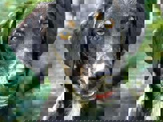 Victor_1.jpg (2)