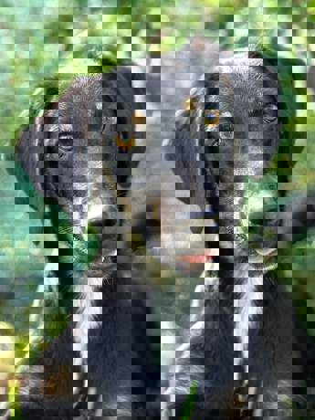 Victor_1.jpg (2)