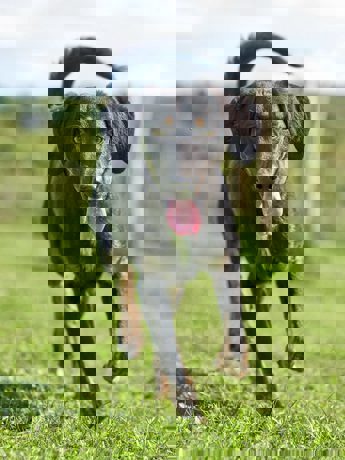 Victor_3.jpg (2)