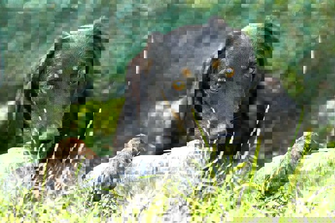 Victor_2.jpg (2)