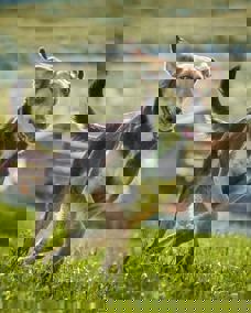 Vino_1.jpg