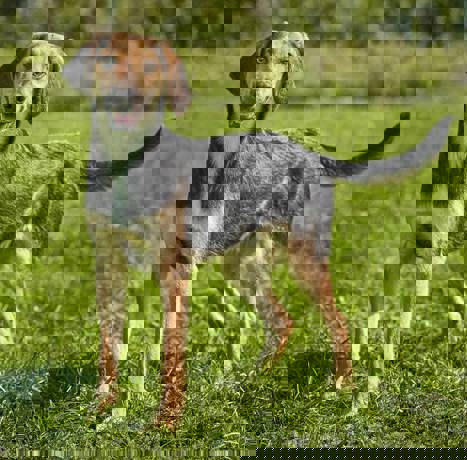 Vino_3.jpg