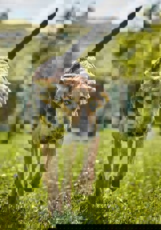 Vino_4.jpg