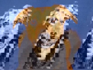 Milja_1.jpg