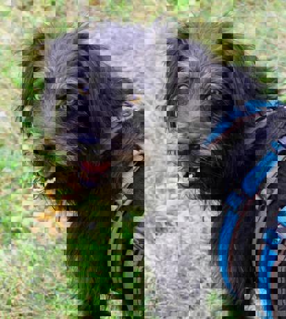 Walter_1.jpg (1)