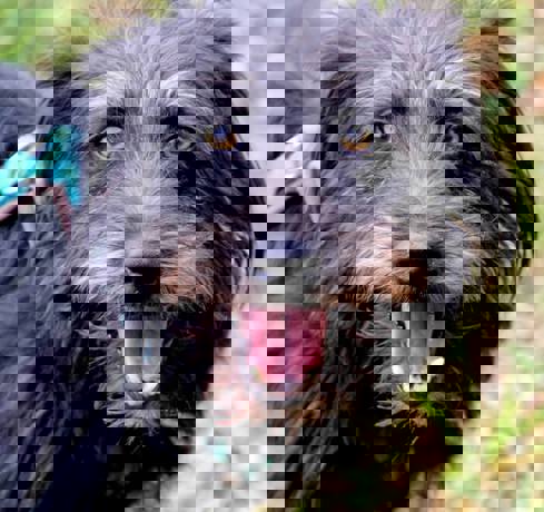 Walter_3.jpg (1)