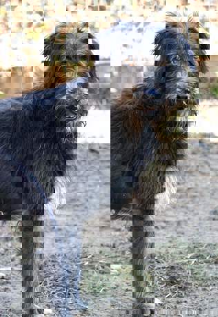 Walter_4.jpg (1)