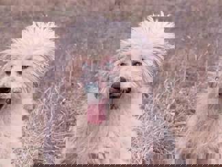 Bonita_1.jpg (2)