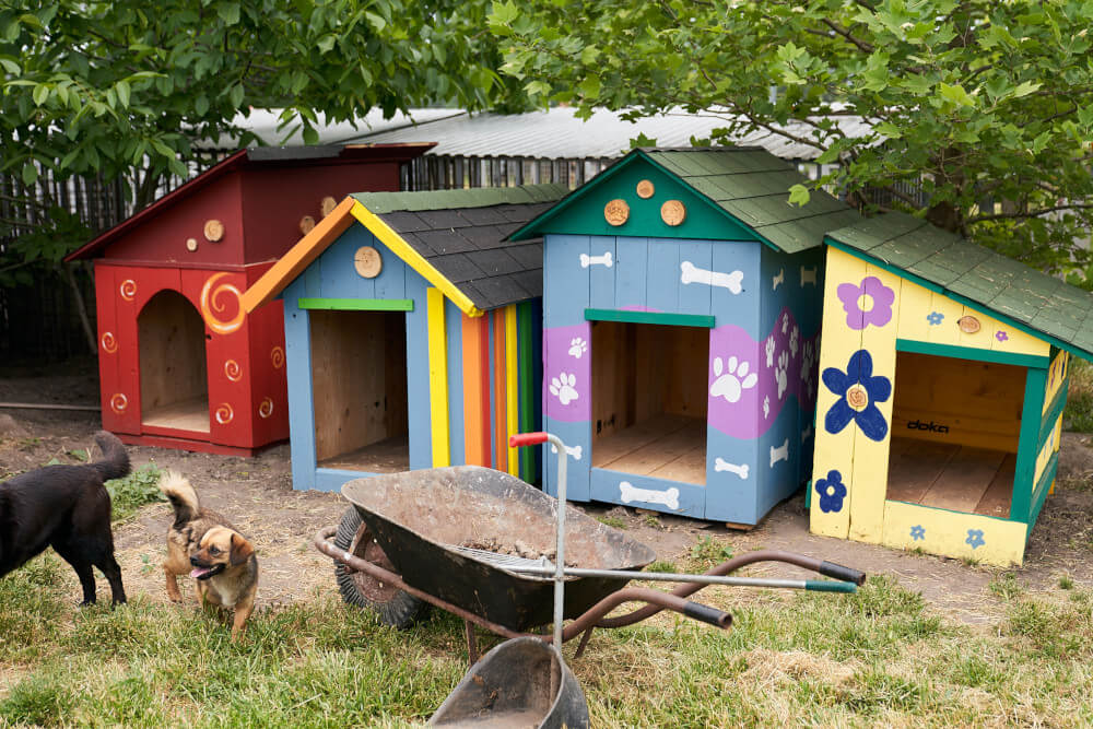 Bunte Hundehütten im Tierheim Kiskunlacháza, Ungarn, gebaut und gespendet von österreichischen Schülerinnen und Schülern.