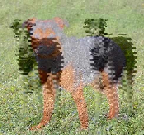 Wally_2.jpg (1)