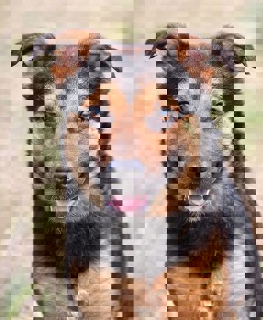 Wally_1.jpg (1)