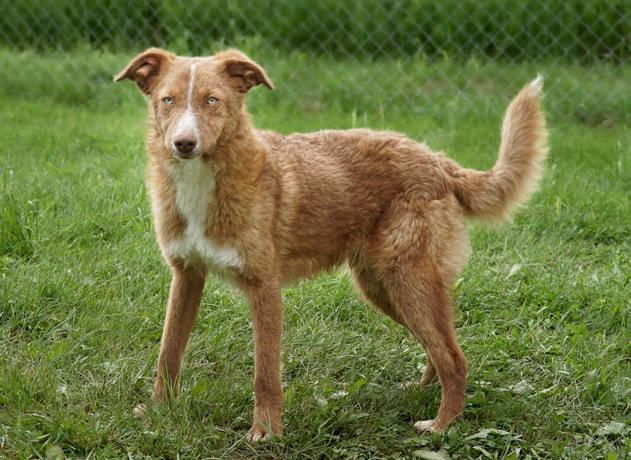 Dobby_4.jpg (1)