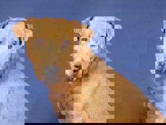 Aris_1.jpg (3)