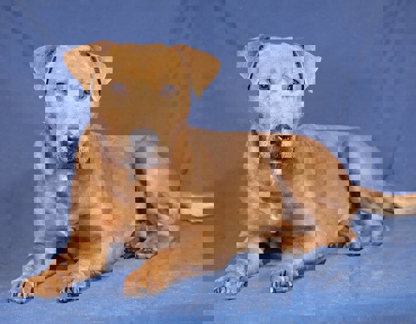 Aris_2.jpg (4)