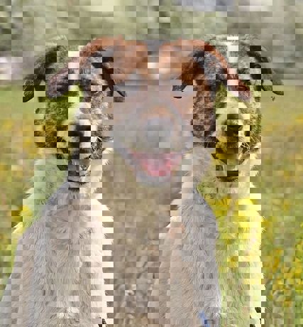WEndy_4.jpg (1)