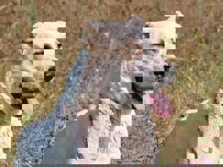 Doris_1.jpg (1)