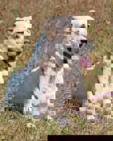 Doris_1.jpg (1)