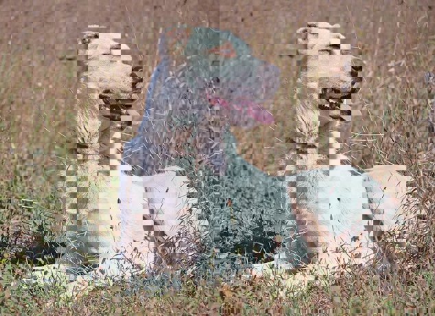 Doris_3.jpg (1)