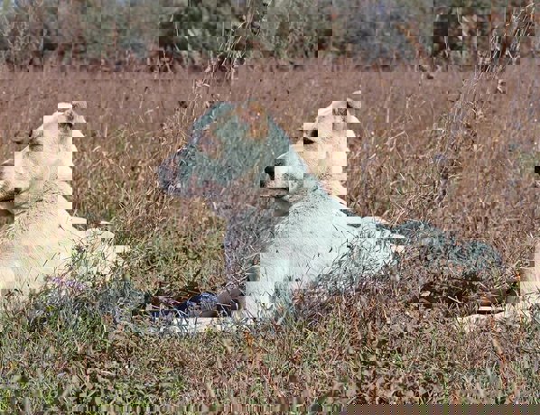 Doris_2.jpg (1)