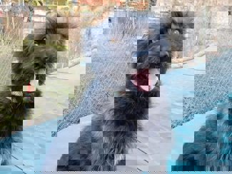 Bori_1.jpg (3)