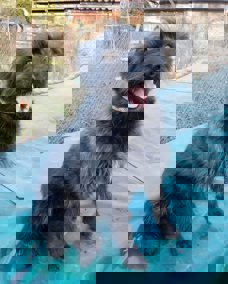 Bori_1.jpg (3)