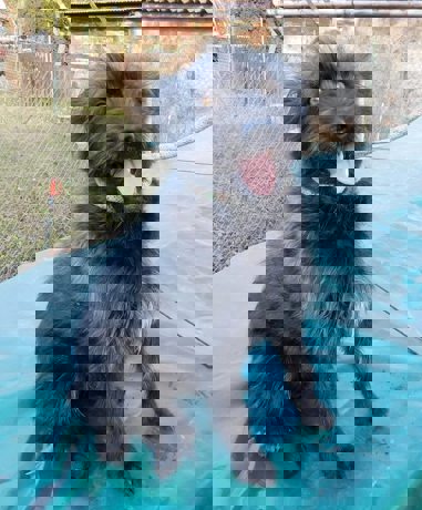 Bori_1.jpg (3)