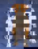 Ringo_3.jpg (2)