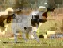 Shakira_2.jpg (5)