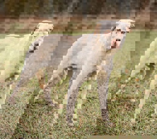 Bonnie_4.jpg (2)