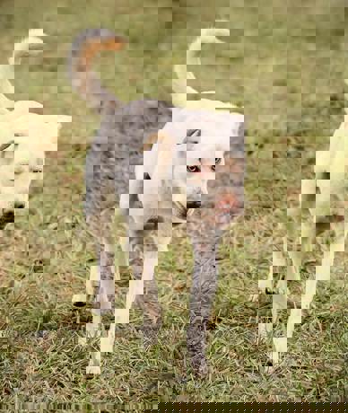 Bonnie_3.jpg (2)