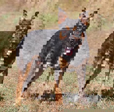 Lalo_2.jpg (3)