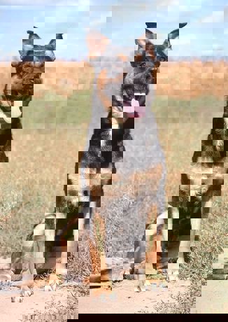 Lalo_3.jpg (3)