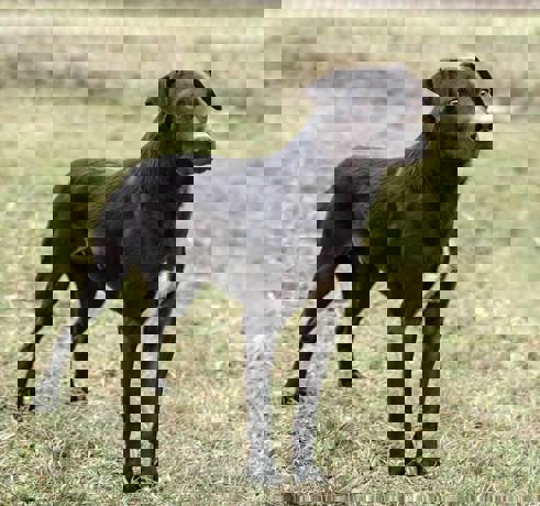 Jake_2.jpg (3)