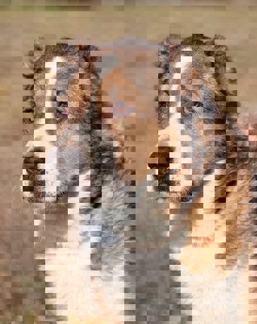 Dorka_1.jpg (5)