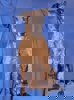 Ricky_3.jpg (5)