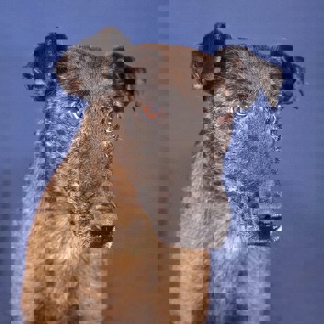 Ricky_2.jpg (3)