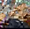 Nelly_3.jpg (11)