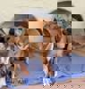 Nelly_4.jpg (11)
