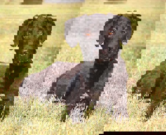 Rusty_2.jpg (4)