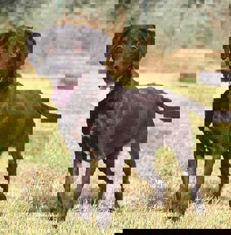 Rusty_4.jpg (4)