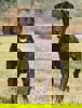 Rusty_3.jpg (5)