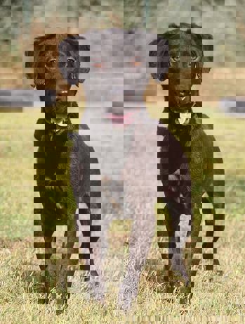 Rusty_3.jpg (5)