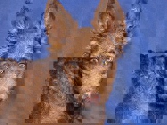 Leon_1.jpg (3)