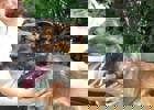 Fido_2.jpg (3)