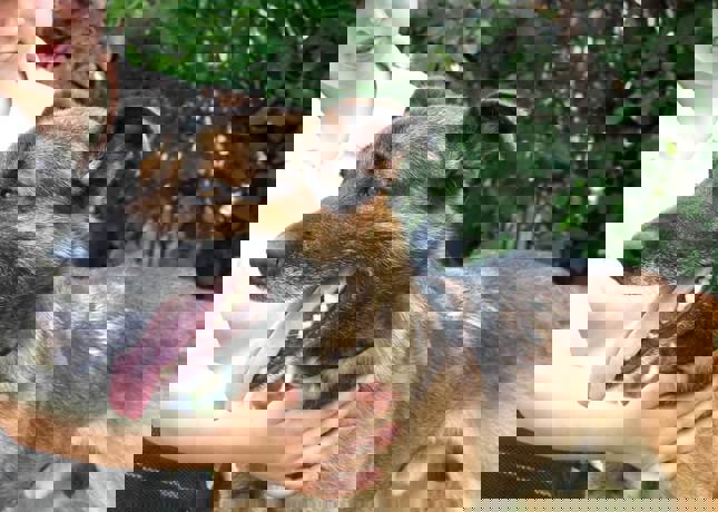 Fido_2.jpg (3)