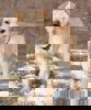 Freddy_4.jpg (10)