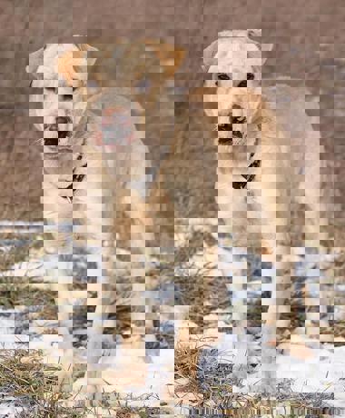 Freddy_4.jpg (10)