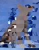 Billy_3.jpg (6)